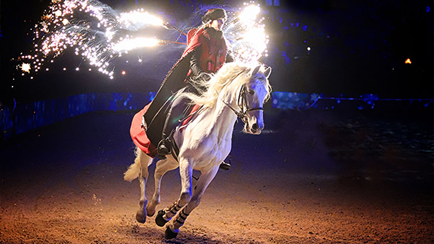 Brand new act Luminoso is a mesmerising combination of stunning horses, stunt riders — and plenty of tricks.